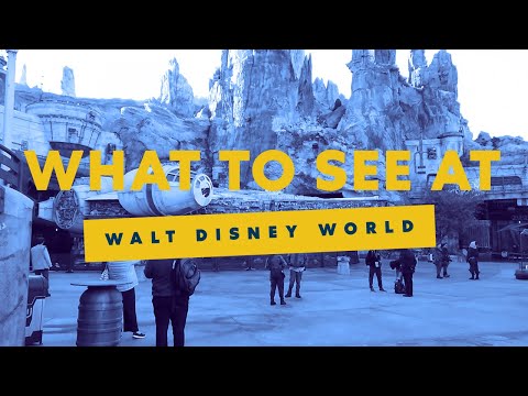 What to See at Walt Disney World | Expedia